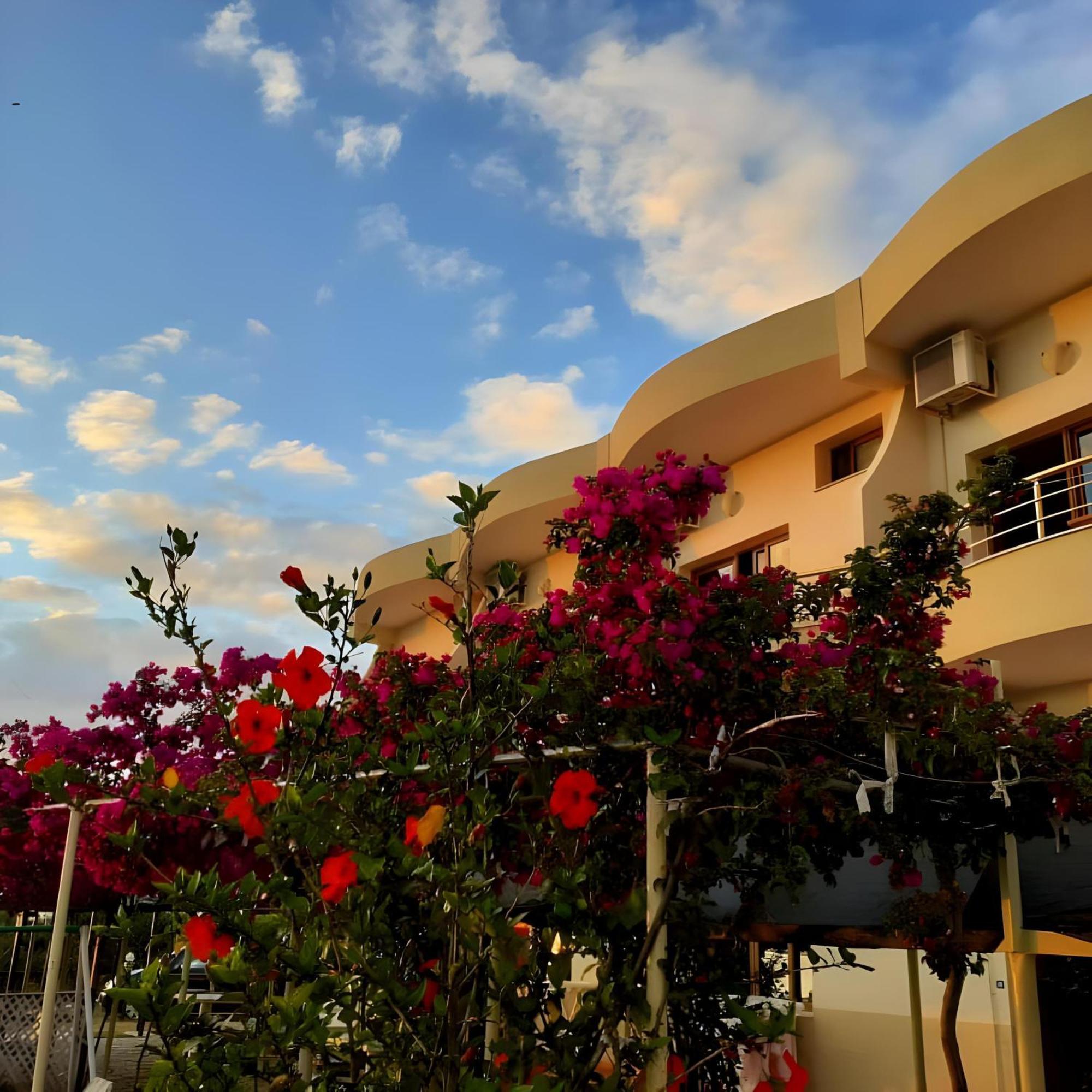 Hotel Sirena Radhimë Dış mekan fotoğraf